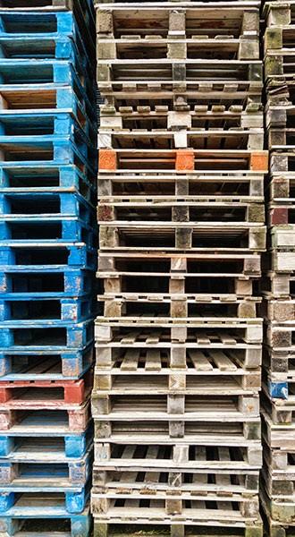 Franck David Palettes Services