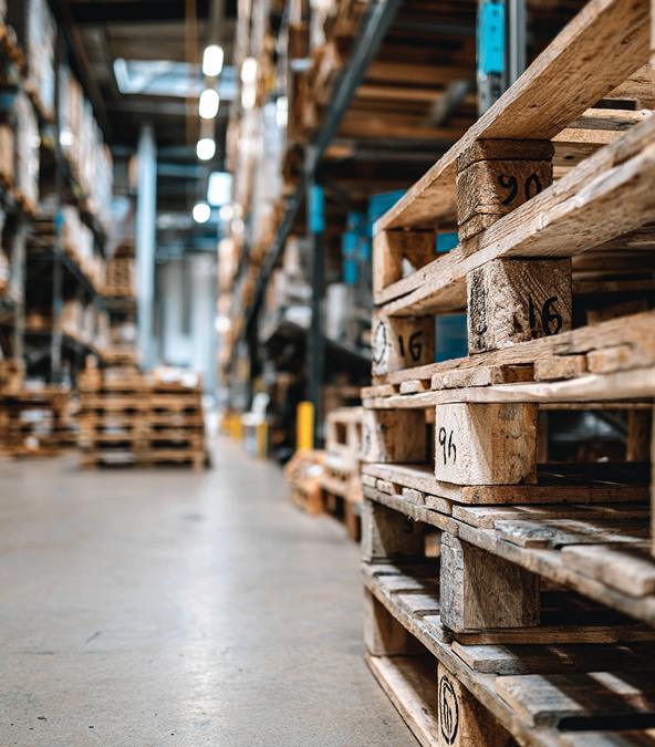 Récupération de palettes 